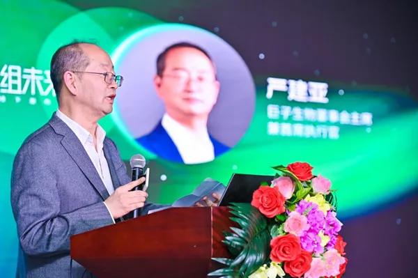 巨子生物重组胶原蛋白,巨子生物有没有三型胶原