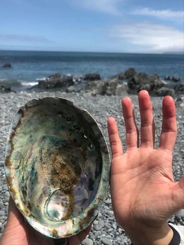 23岁Nyree在新西兰：异国兼职遇暖意，实现水果海鲜自由