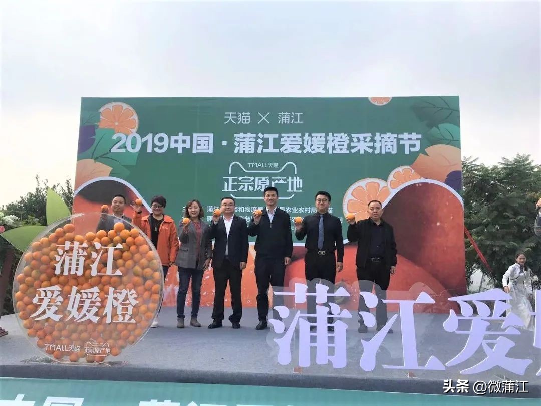 蒲江电商发展模式,蒲江县电商孵化园