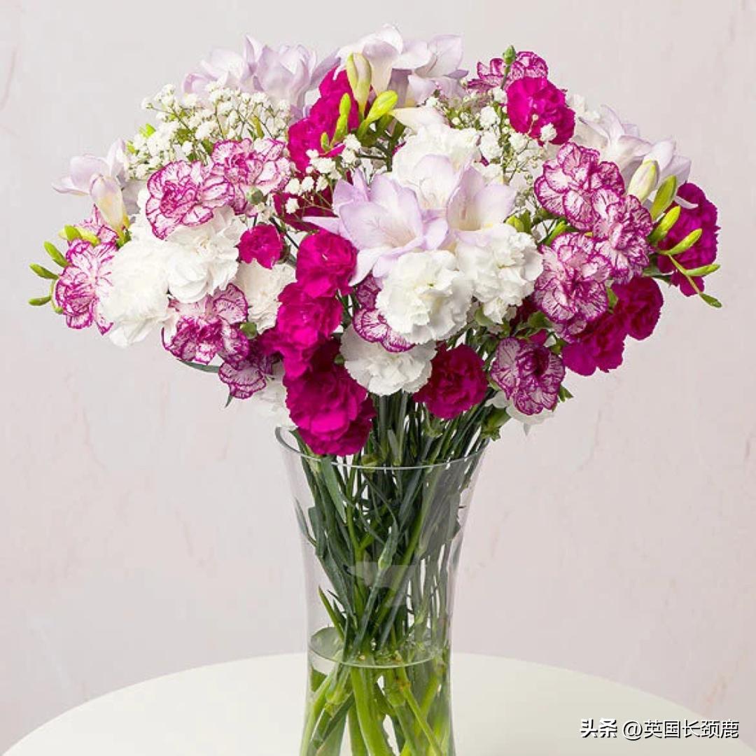 全英线上订花攻略:情人节限定fafa~爱你的心用花表示!