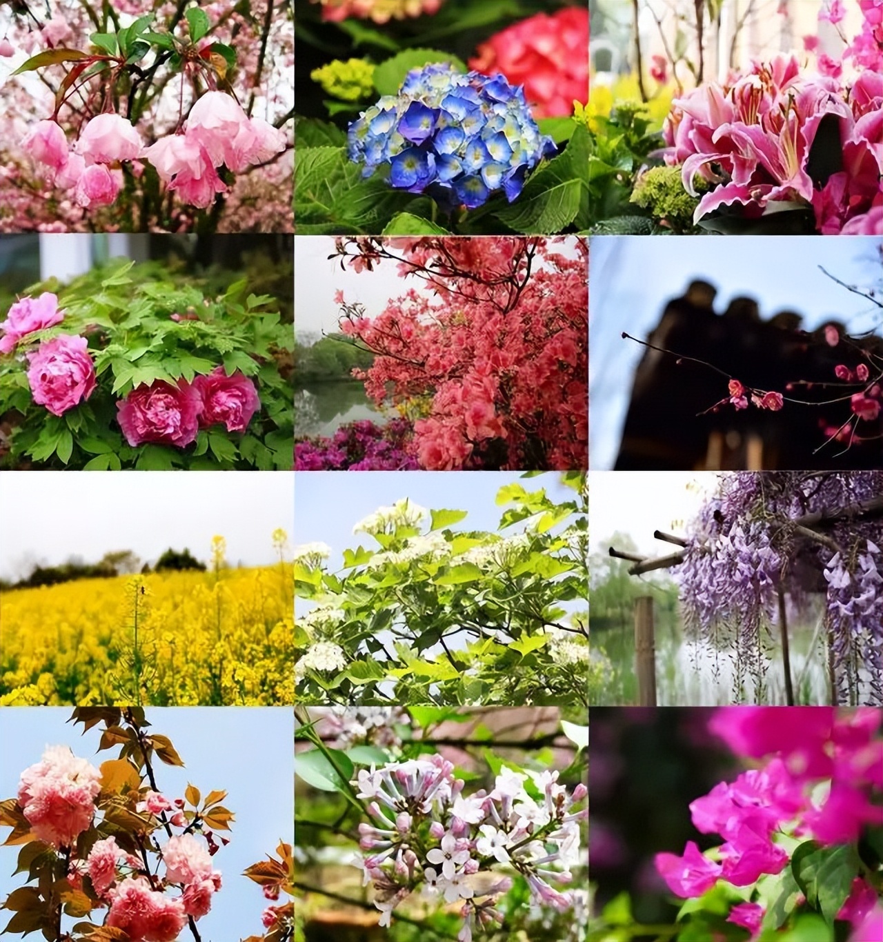 园林景观包括的项目,园林景观主题有哪些