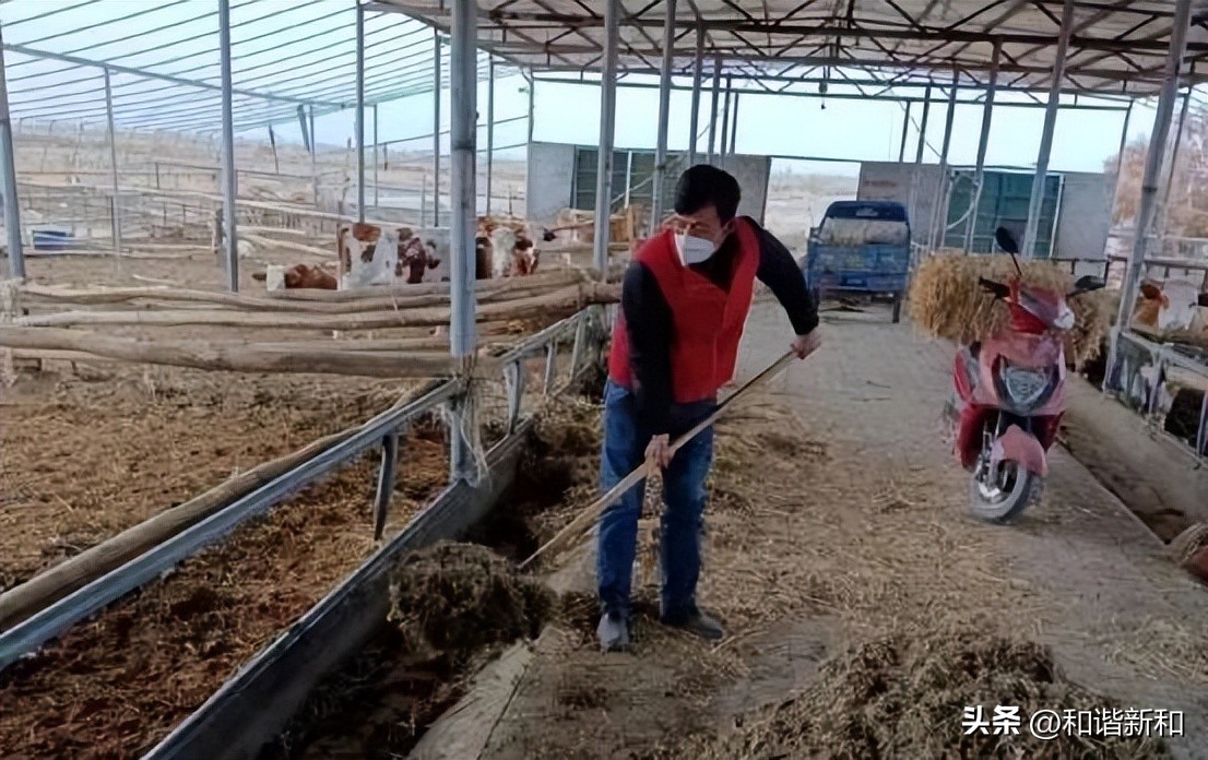 防疫一线党旗飘爱心涌动椰城暖 (党员志愿者助力社区疫情防控一线)