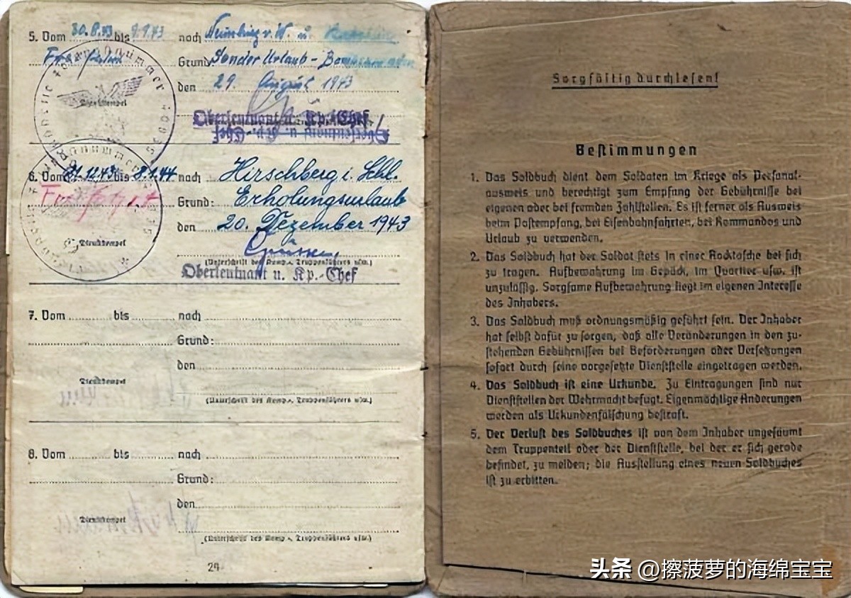 二战时德国军人的肩章,二战德国兵种领章