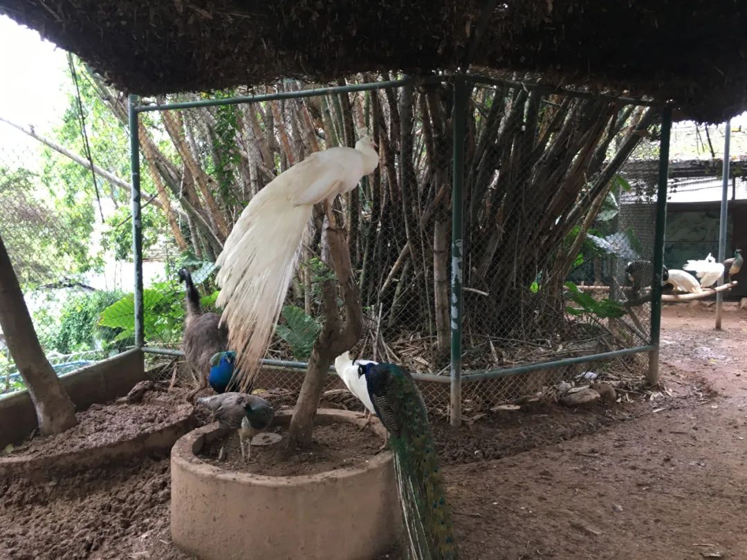 旭光电动车行,旭光车行向阳路