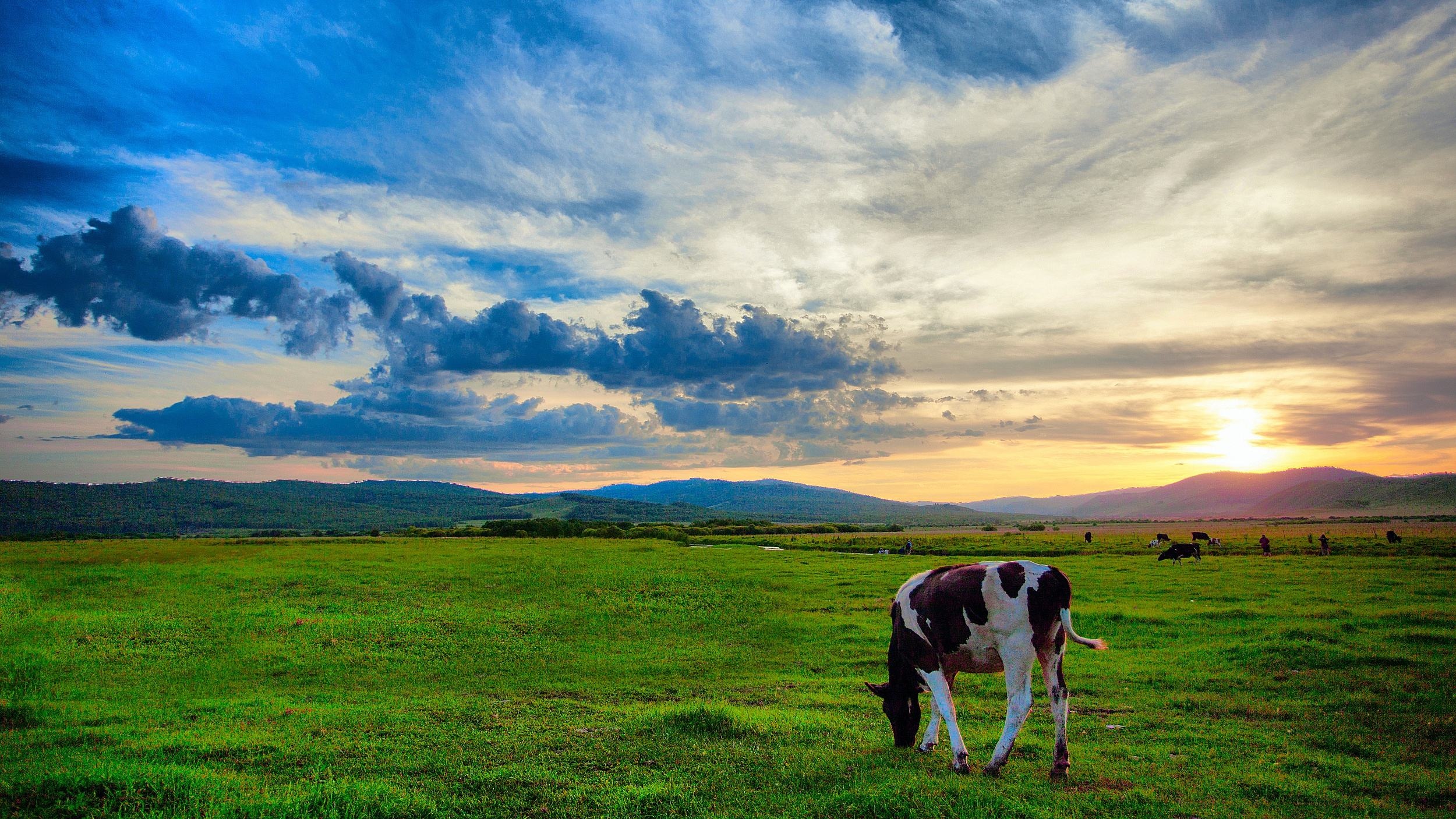 国内最适合毕业旅行的目的地推荐,选择合适的毕业旅行方案