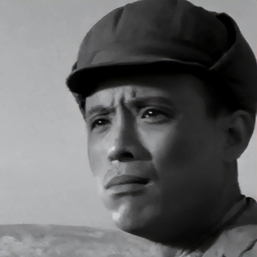 关于革命的小说红日简介,长篇小说红日沈振新的原型是谁