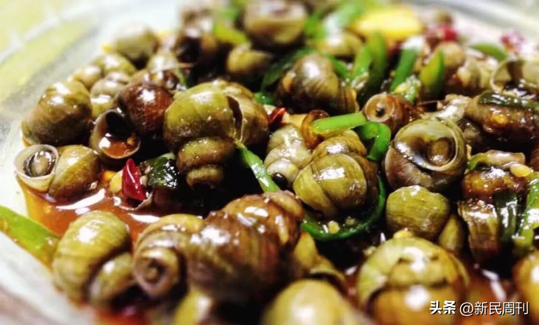 螺蛳缩在壳里不出来,螺蛳在水里可以呼吸