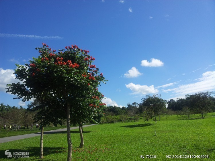 云南春节8天旅游攻略自由行,春节去云南旅游攻略自由行