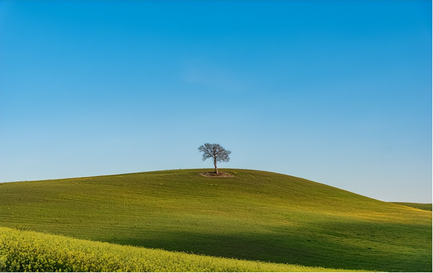 别人请客吃饭怎么表达感谢,请客吃饭如何表达我的感激之情
