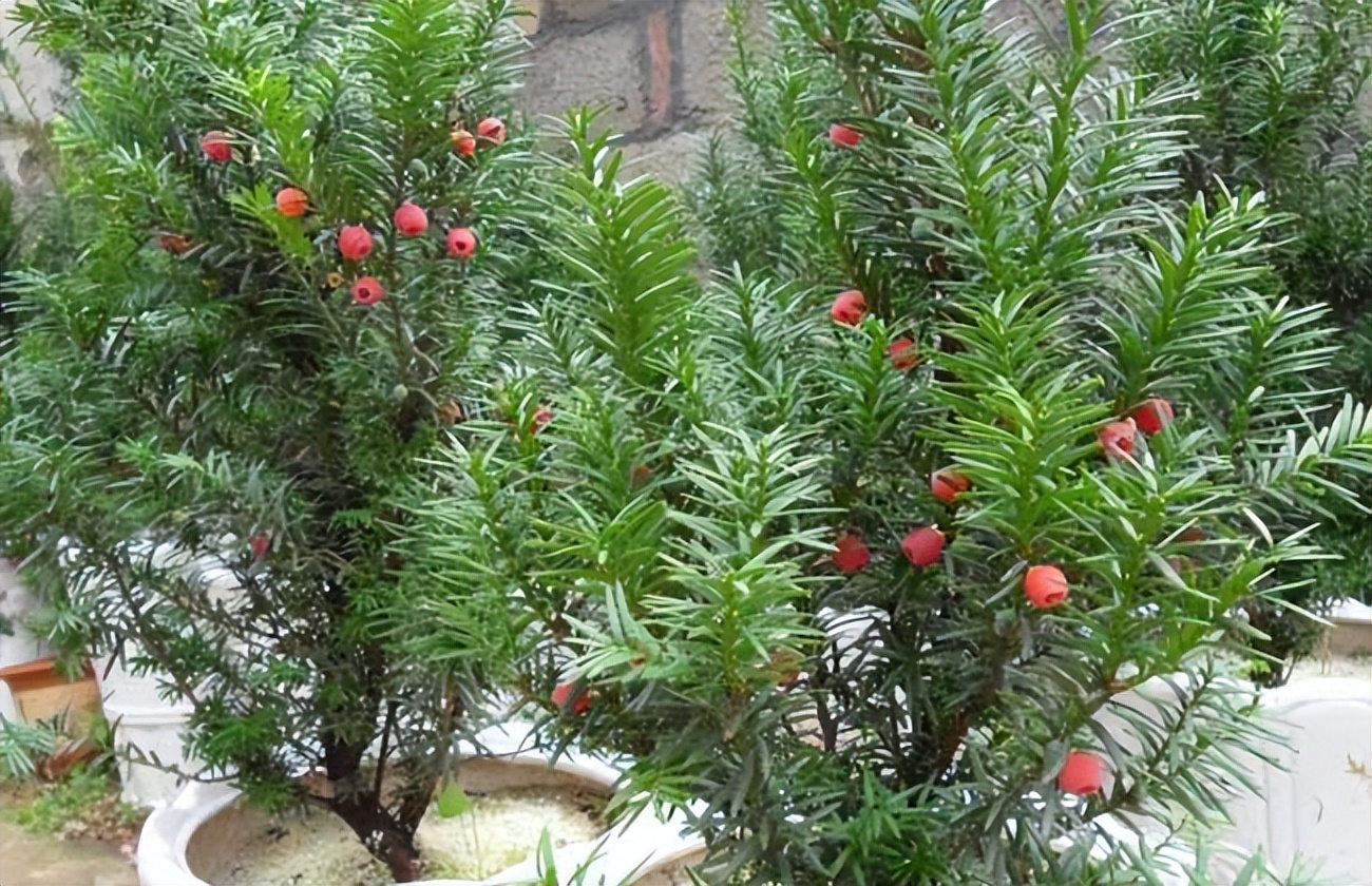 暴利工业废料变废为宝,九零后小伙收废品变废为宝