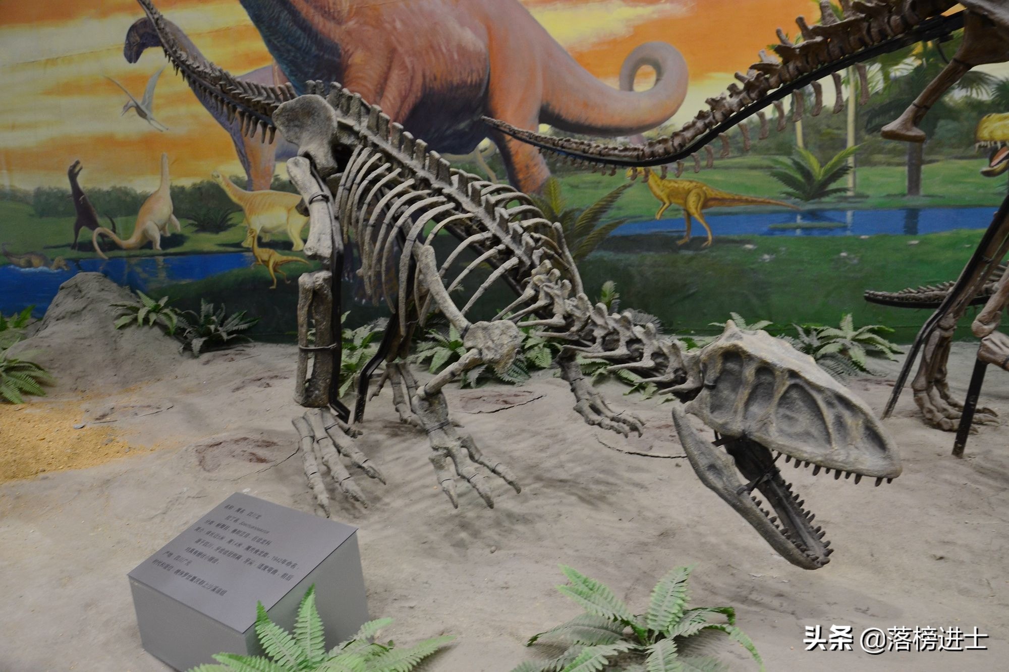 石家庄哪个博物馆里有恐龙化石,石家庄博物馆里有恐龙化石吗