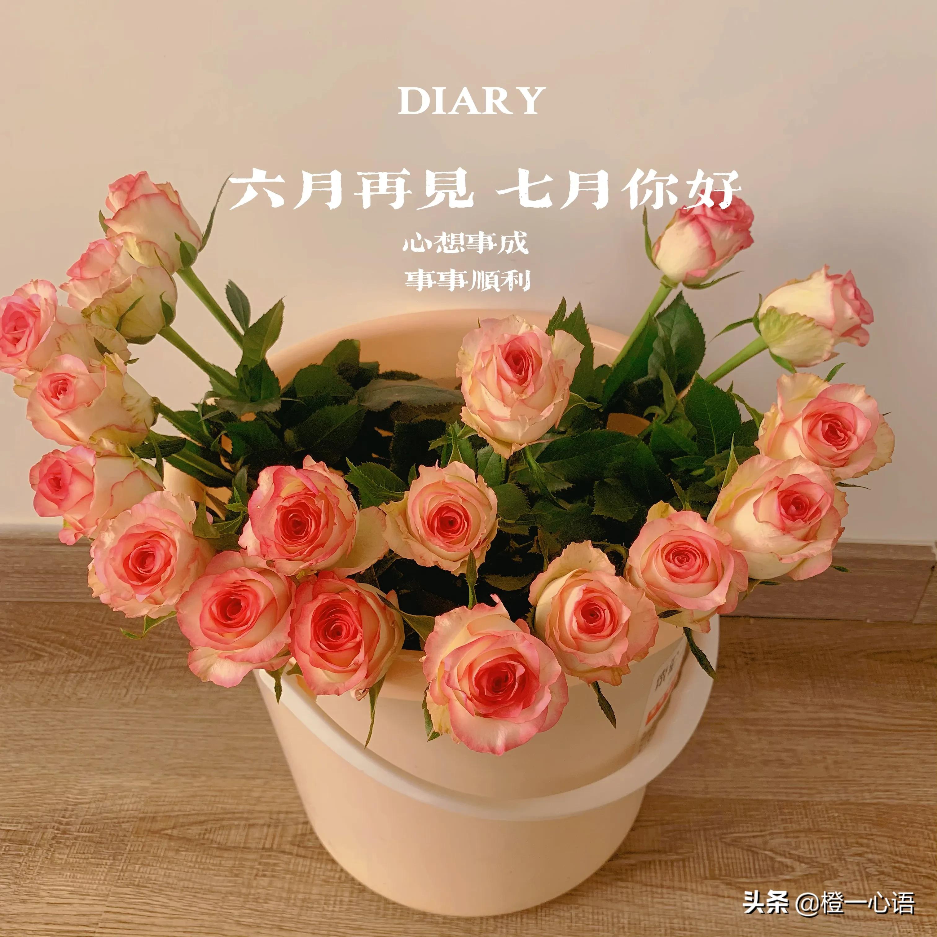 基金万份收益和净值的区别,海外基金净值收益怎么算