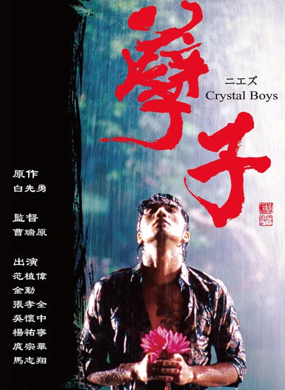 甜心教主王心凌走红哪个节目,甜心教主王心凌炸出了全网老粉