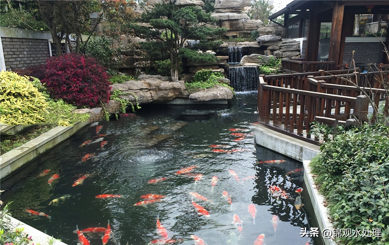 鱼池过滤毛刷安装方法,露天鱼池植物过滤方法