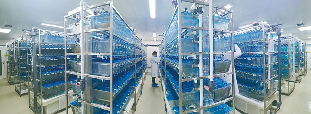 1条小鱼作品,一条小鱼引发的生命探索