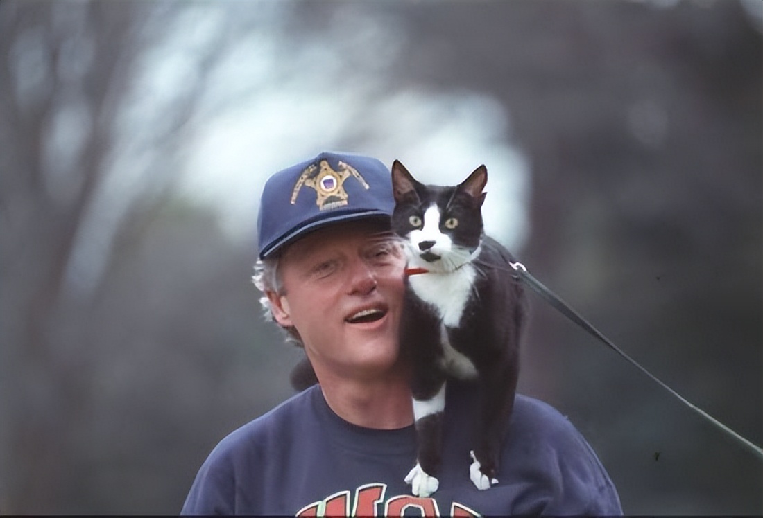 克林顿性侵丑闻案英国,克林顿性侵丑闻案怎么回事