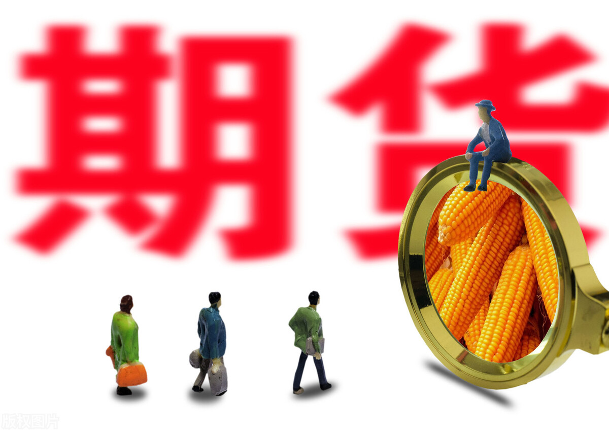 深加工赚钱，饲料企业赚钱，为什么玉米不涨价？10月19日玉米行情