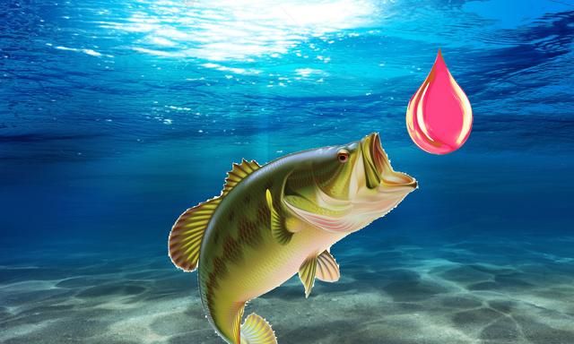 钓鱼人必知的鱼类,钓鱼人钓到哪些超级大的鱼