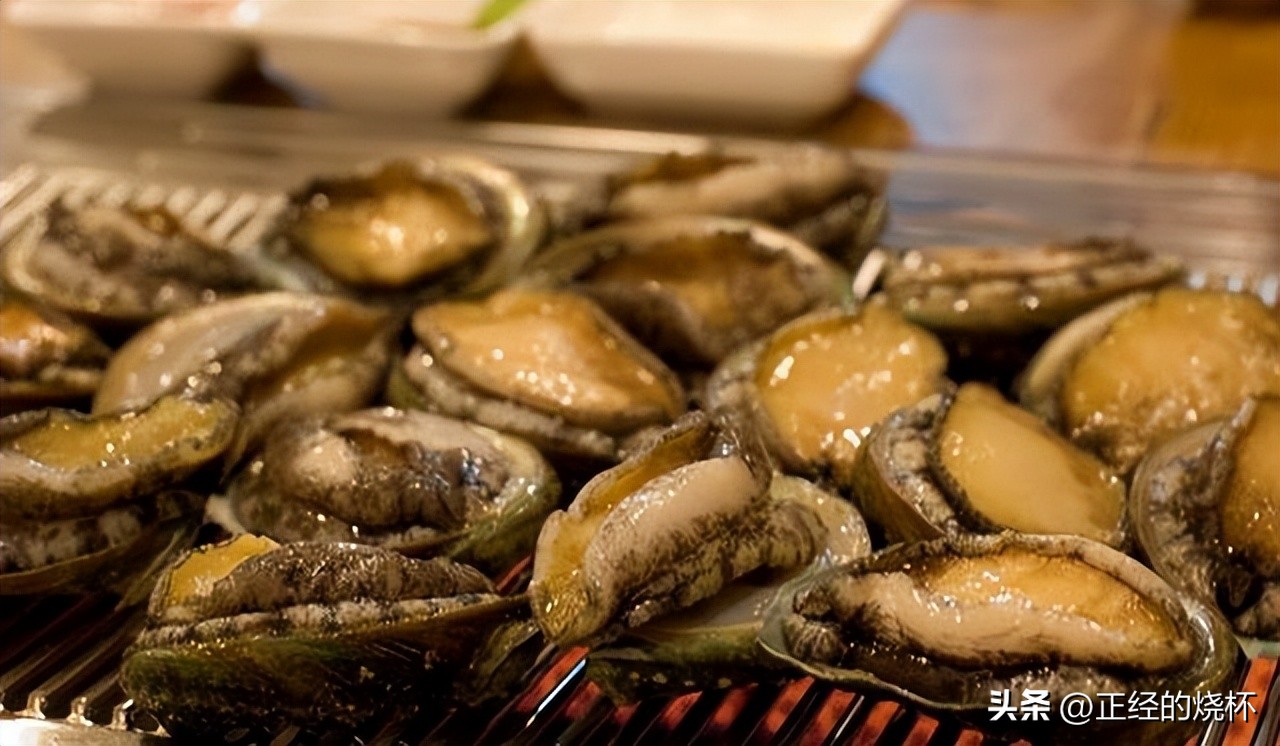 鲍鱼分布在哪里,鲍鱼由哪些部分组成的