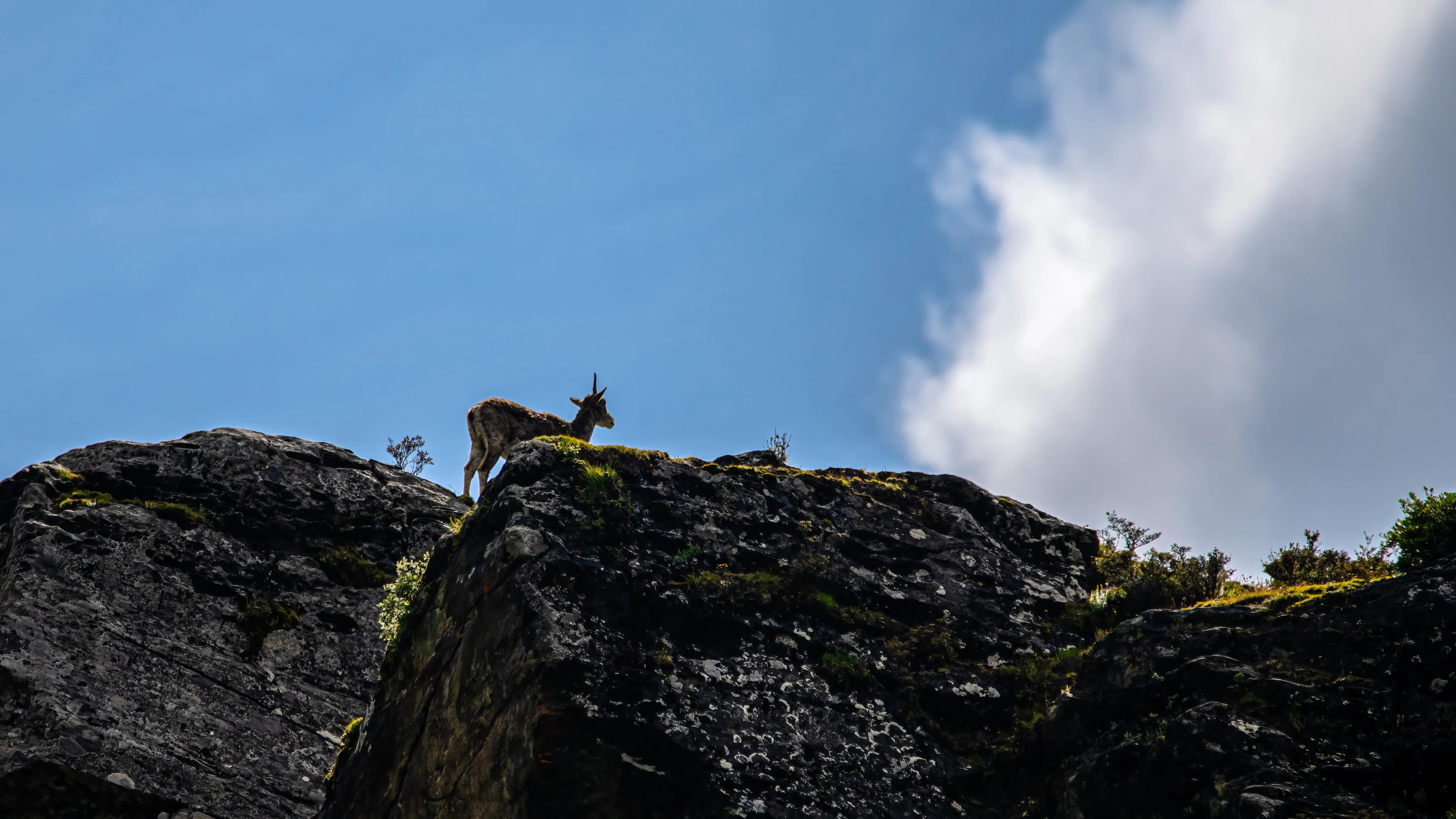 甘孜州最美风景在路上,金秋的甘孜州