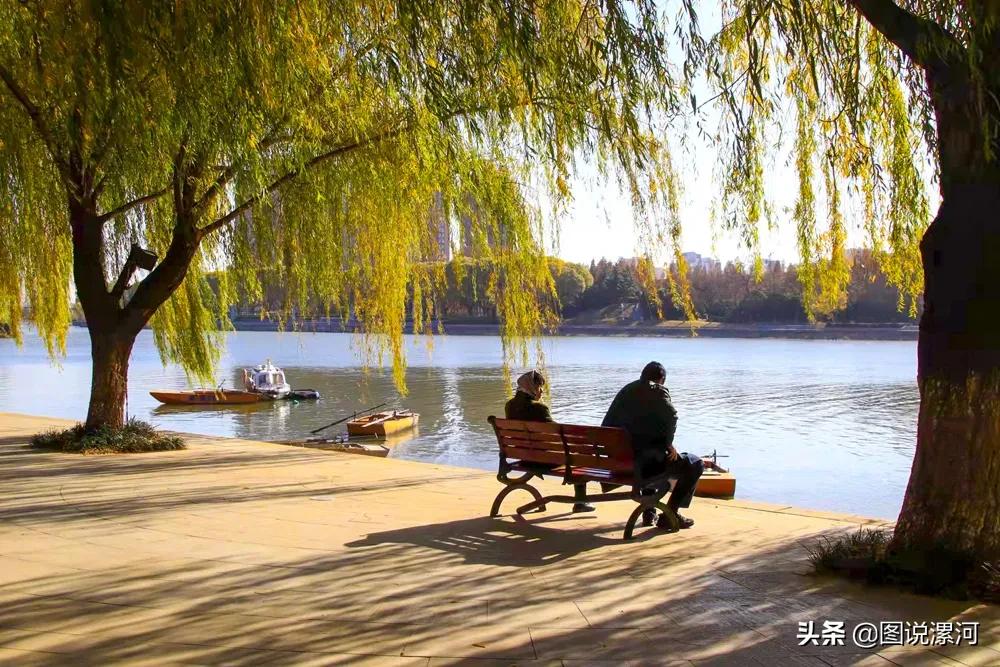 获奖摄影比赛作品,摄影比赛获奖名单公示