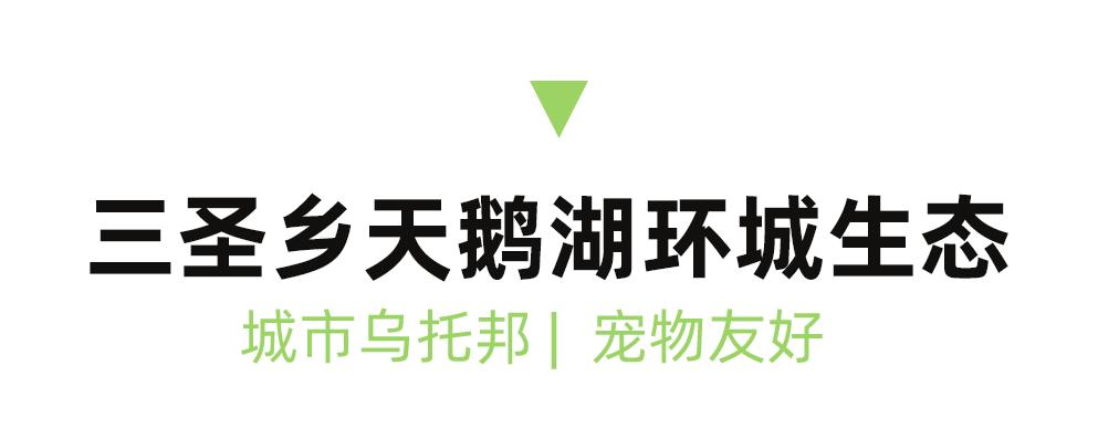 成都周边一日游露营烧烤好去处,成都周边春天适合野炊露营的地方