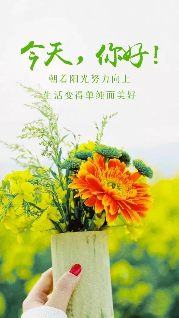 经典动人的早安心语语录汇编76条,早安心语带字正能量简短的句子