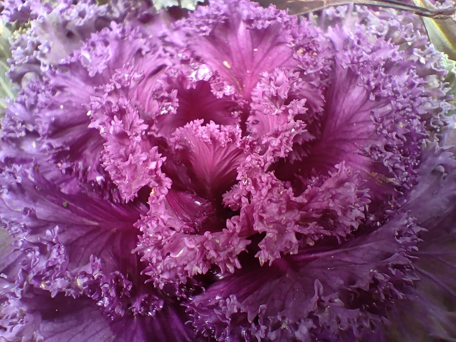 realmegt2pro摄像评测,realmegt2pro相机评测