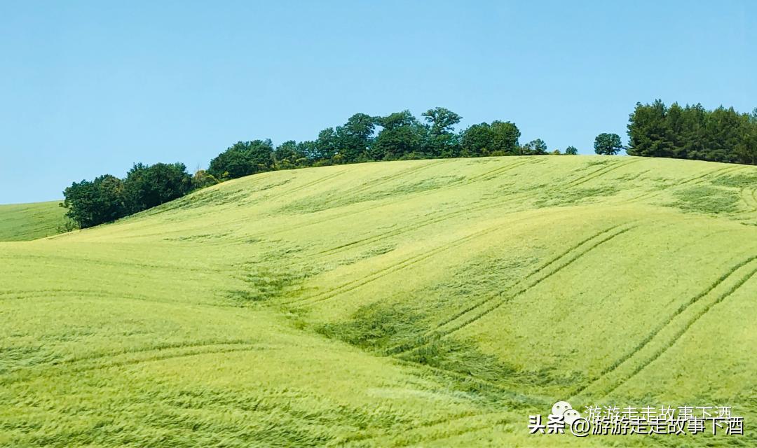 欧洲旅行攻略：但丁家乡，徐志摩称为翡冷翠。古典艺术露天博物馆