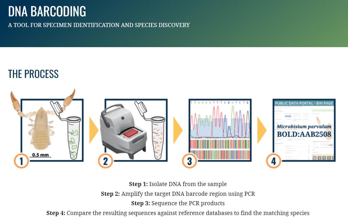生物学是什么时候开始学习,生物学研究生就业前景如何