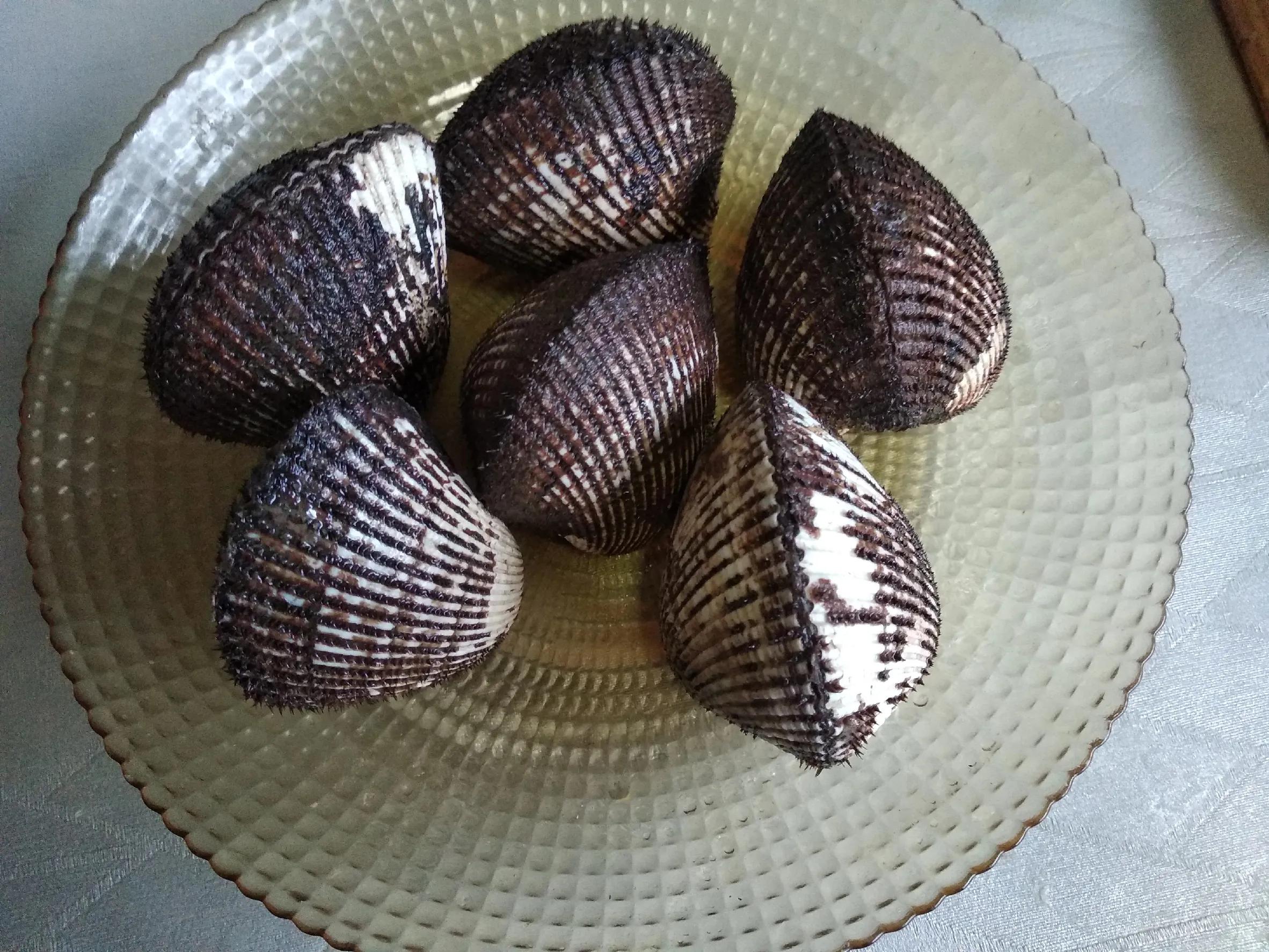 这个季节适合吃的小海鲜,春季肥美的小海鲜