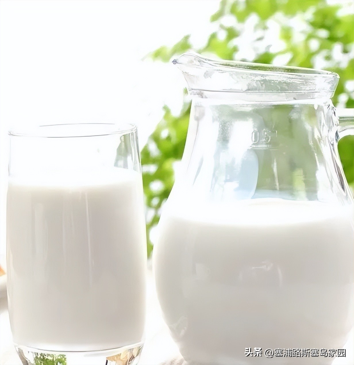 塞浦路斯软件,塞浦路斯都用什么软件