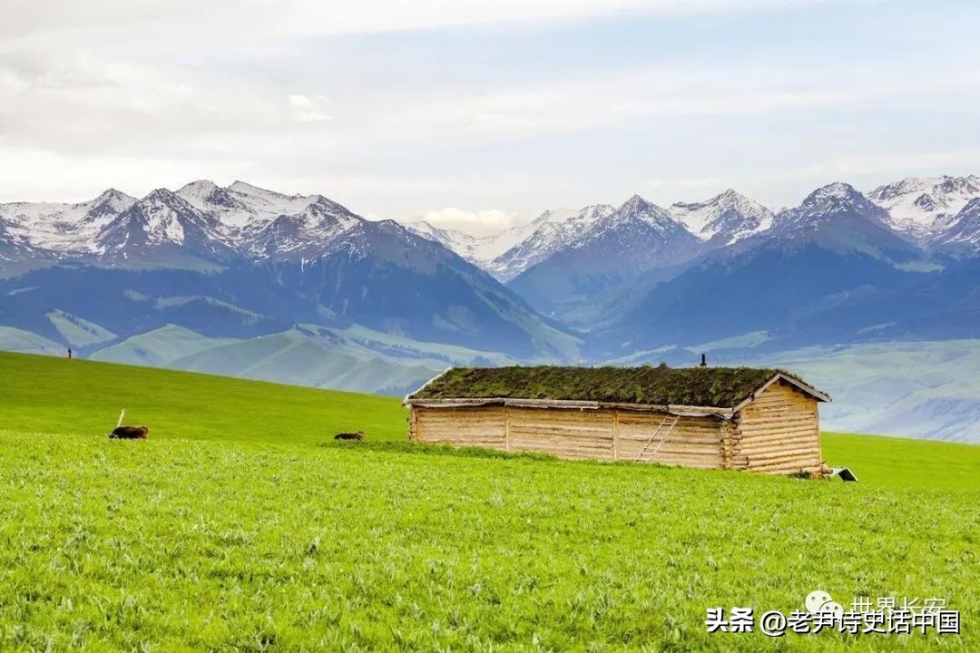 讲清朝十二帝真实的历史,清朝十二帝历史讲解详细