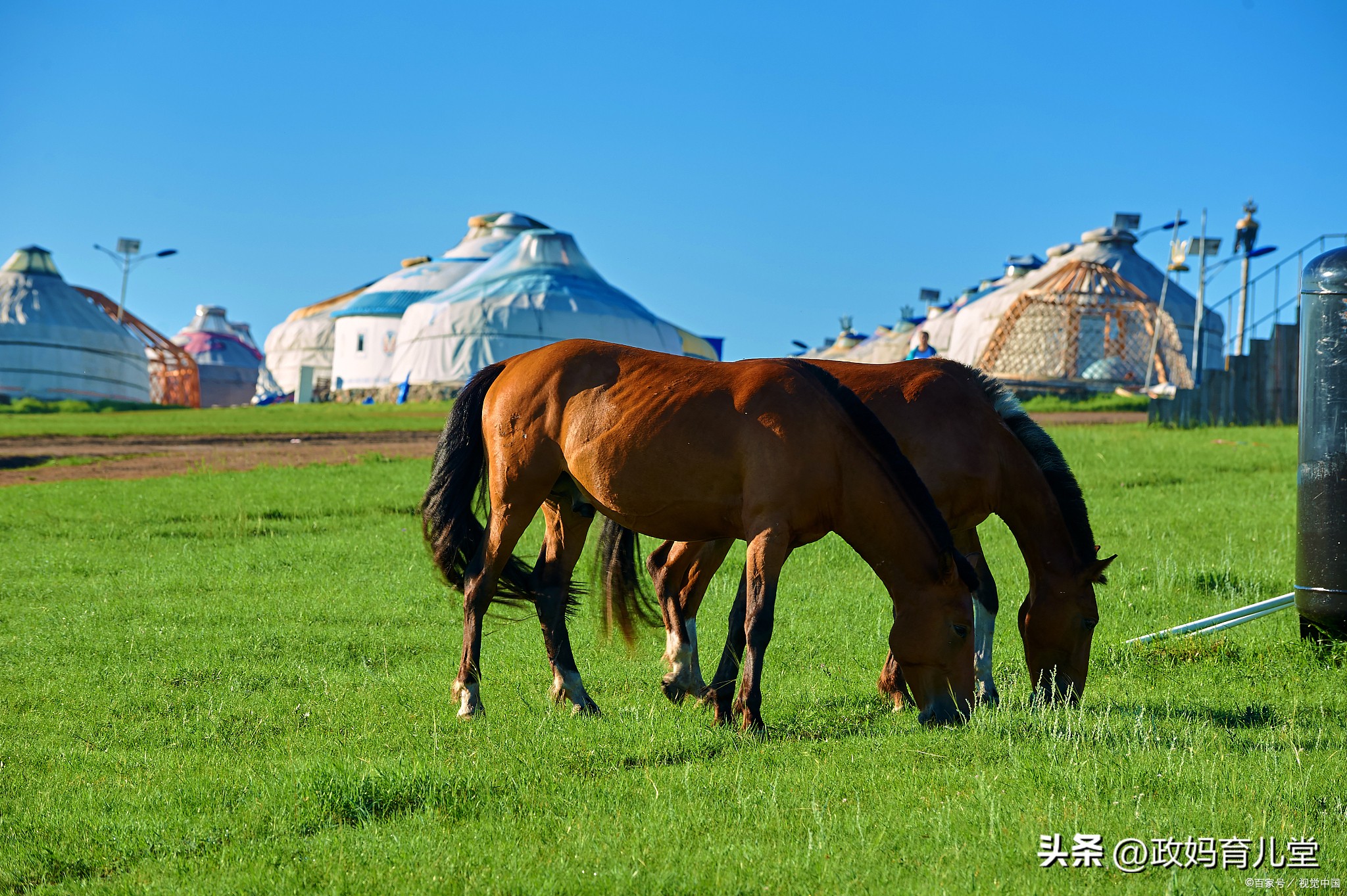 广州出发四天三晚旅游推荐亲子游,上海亲子游旅游2-3天详细攻略