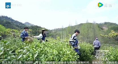 原来跟他们一起“追星”，真的可以一键清除emo