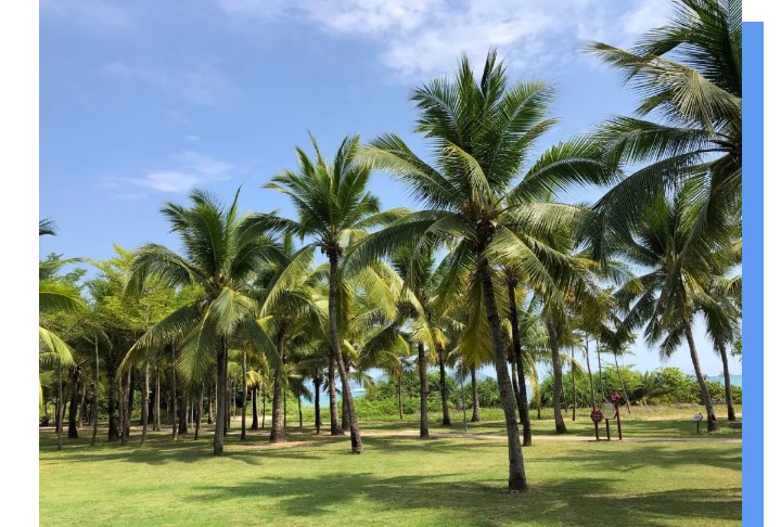 【三亚海滨康养】住在专属中国的“夏威夷”看椰林细浪享海滨风情