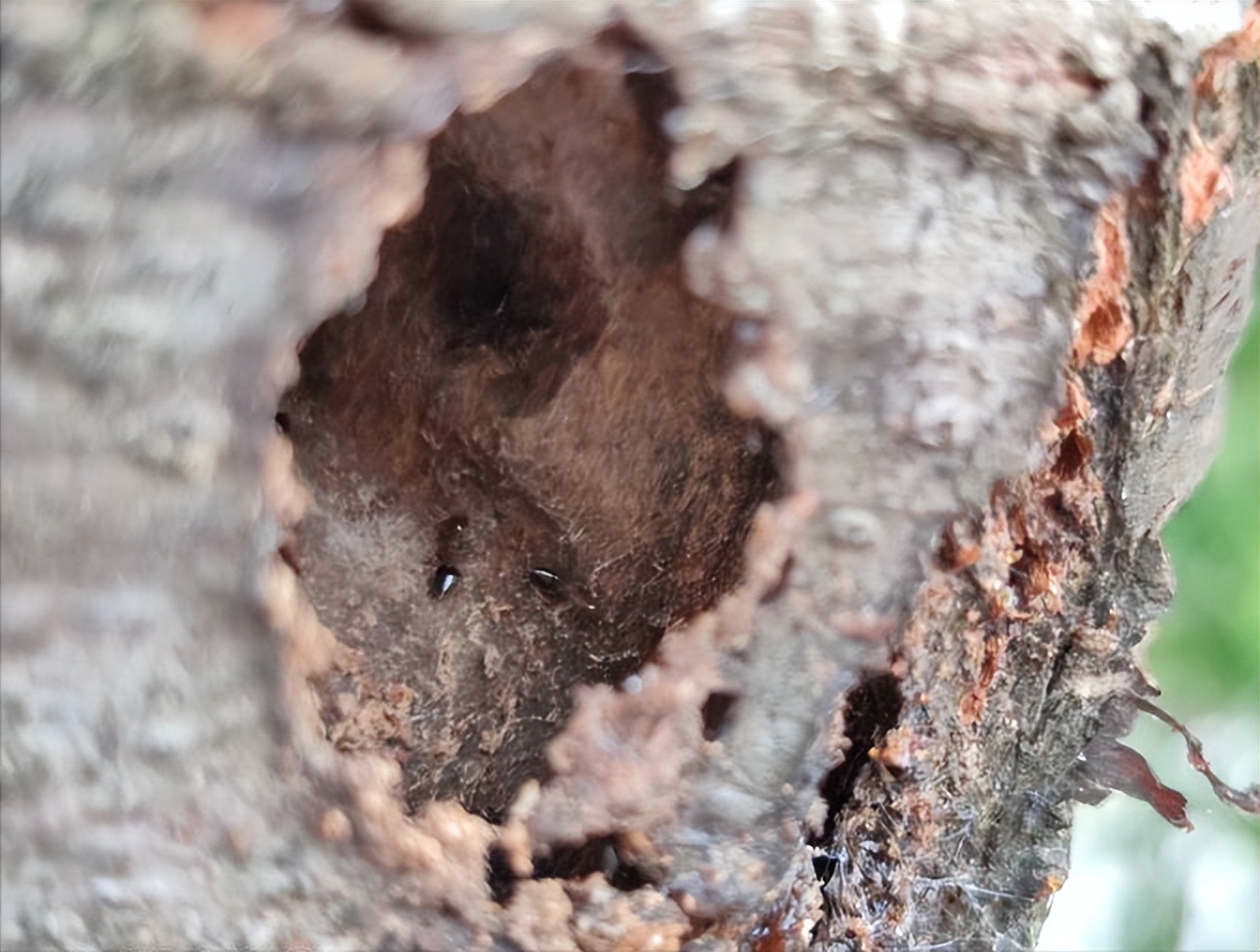 西南方言歇后语,西南官话用词