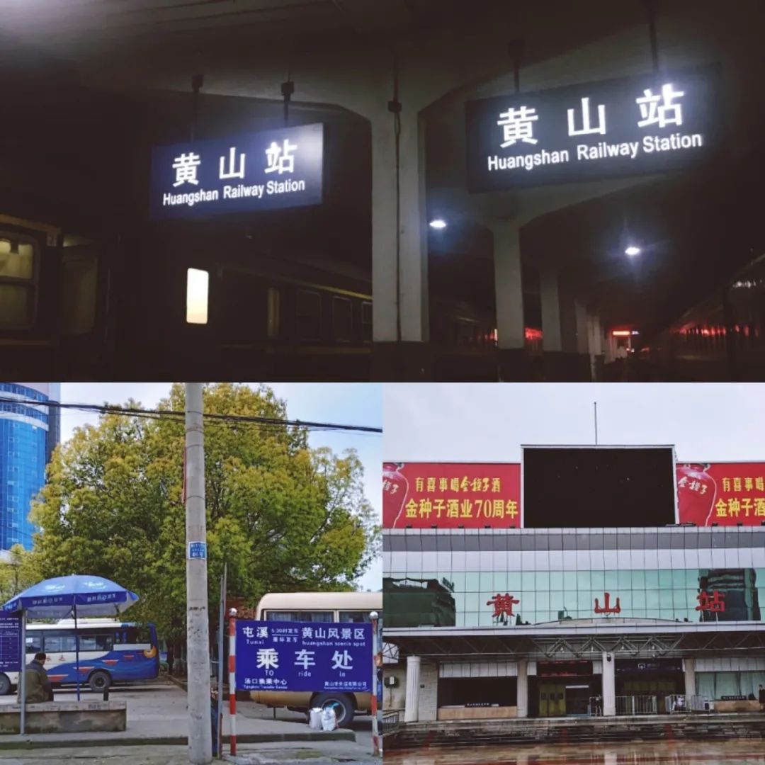 我摊牌了完整版免费,我摊牌了免费全集