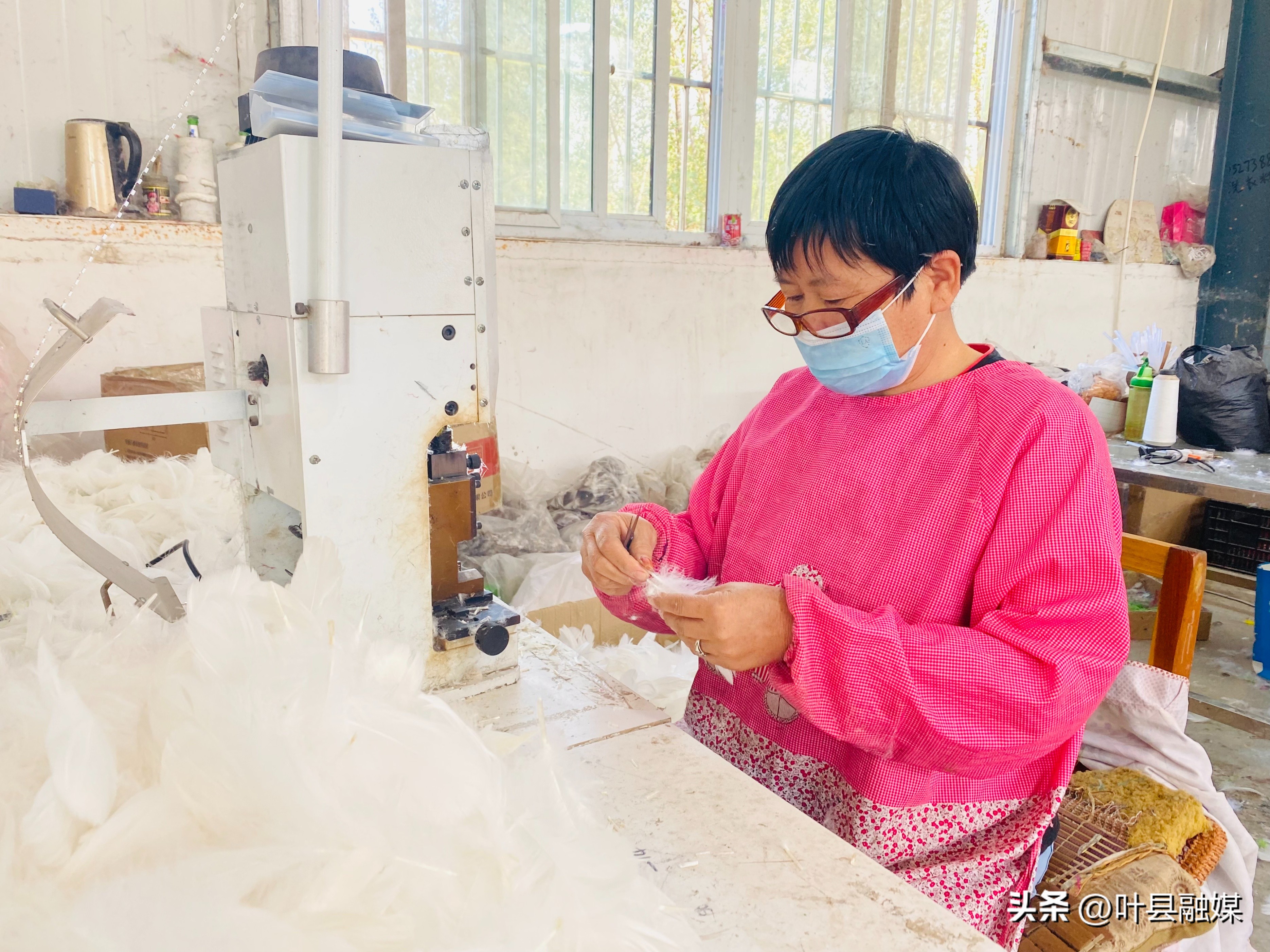 河南叶县：轻羽毛唱红“致富歌”工艺品鼓起“钱袋子”