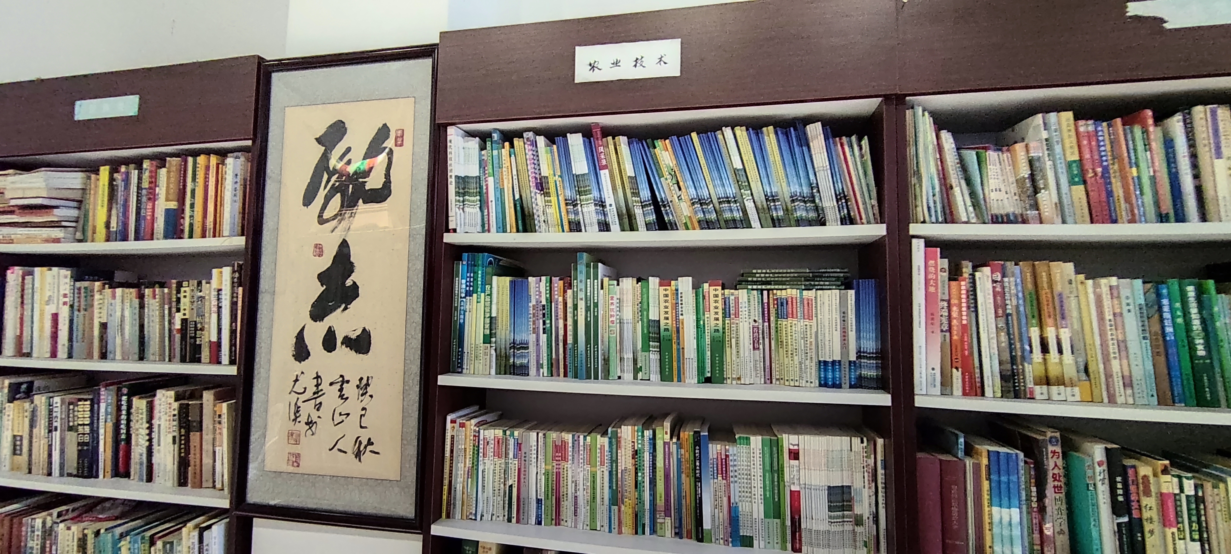 林岳铿,林岳铿闽侯