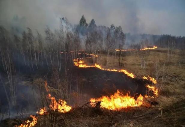 自称能拦截导弹，扑灭大兴安岭山火的气功大师严新，最终结局如何