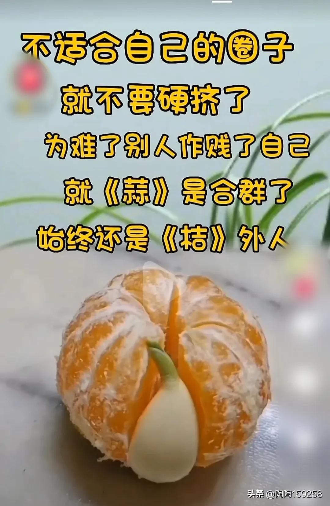 深圳万科东海岸适合长期居住吗,万科东海岸好吗