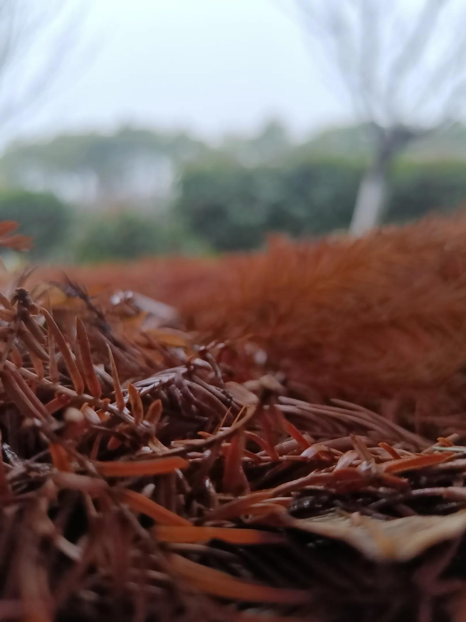 自以为是的人很自卑,自卑和自命不凡