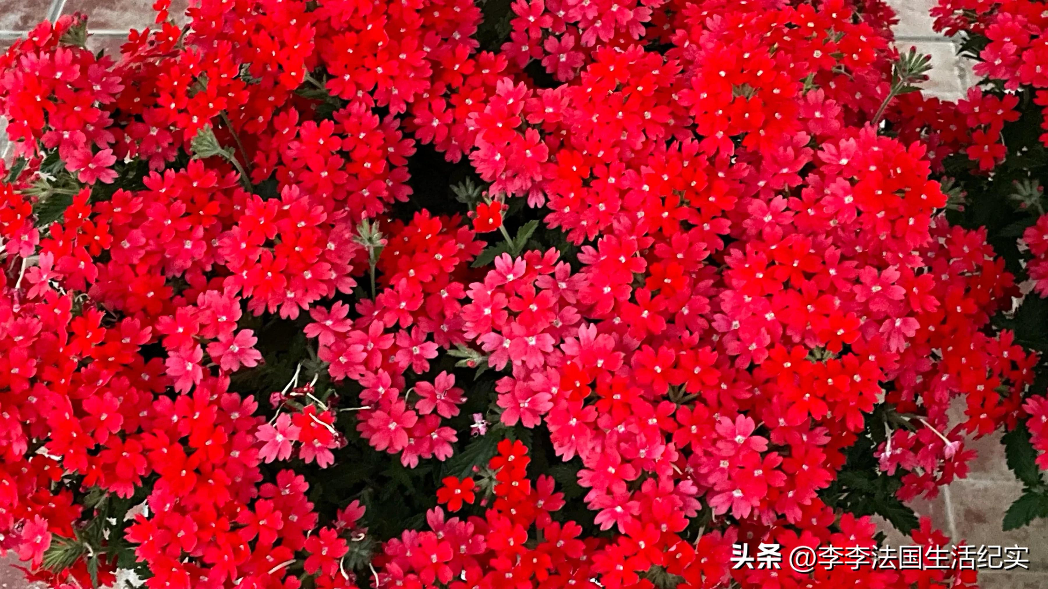 电脑屏幕伤眼有哪些解决方案,电脑屏幕伤眼睛怎么办