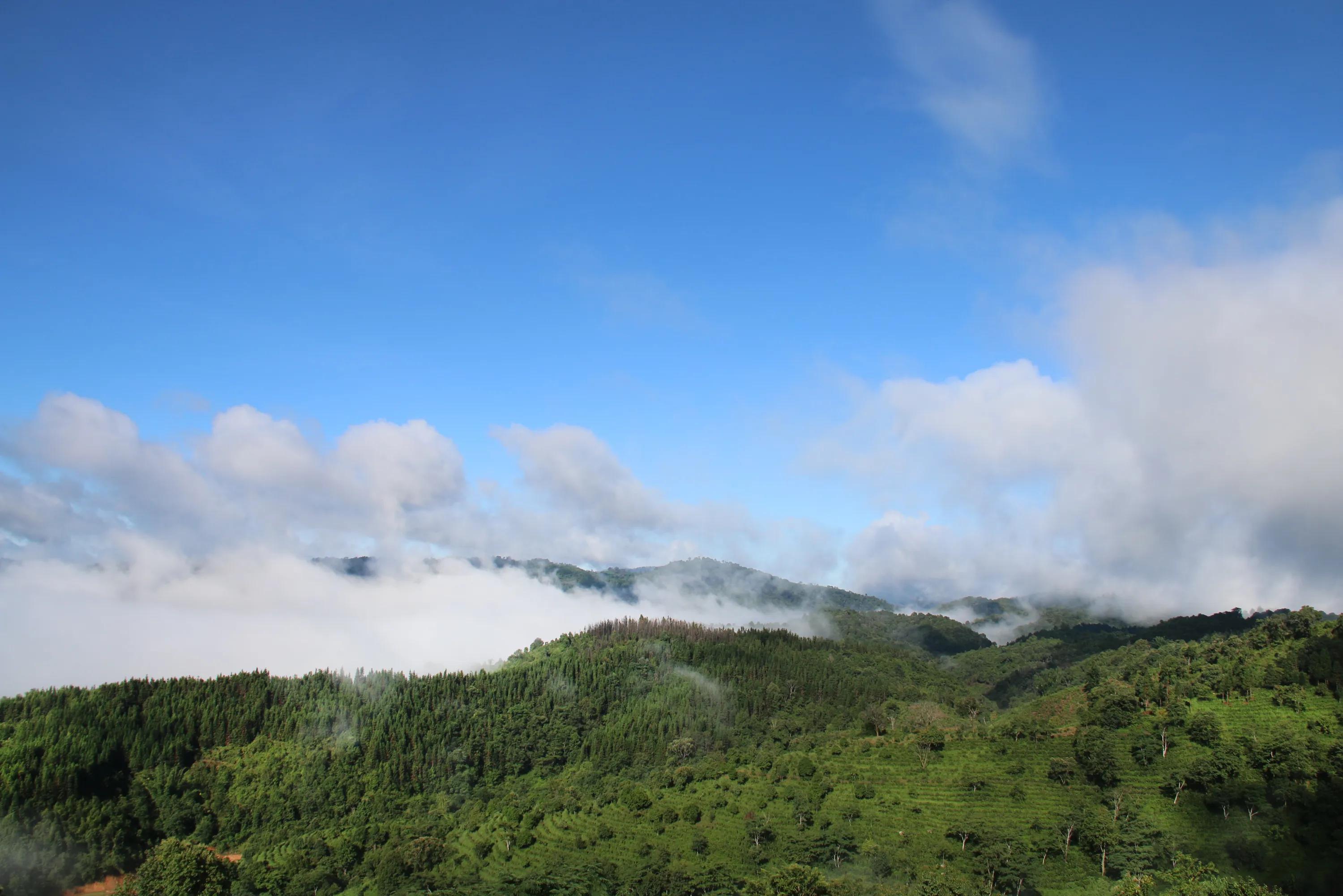 学会喝茶的正确方法,学会喝茶视频教程