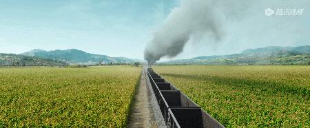 全网9.8评分神剧,全网高达9.2分看哭所有人