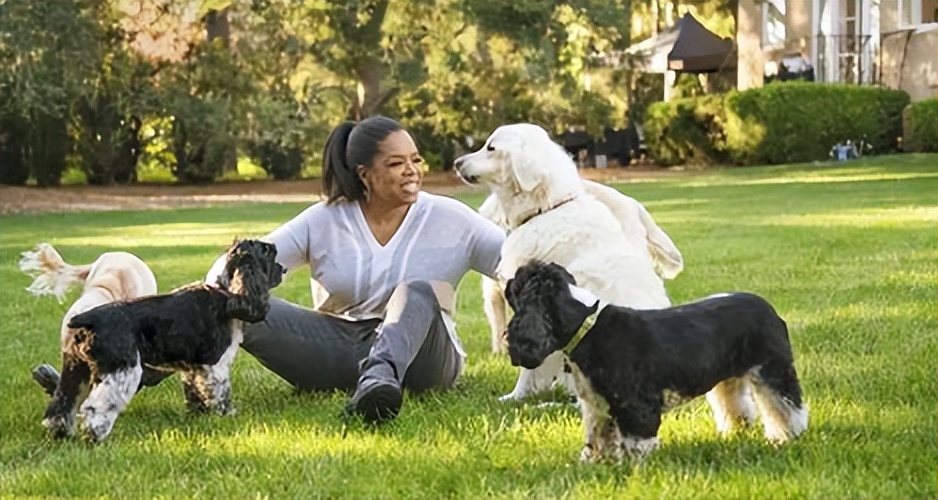 宠物继承财产怎么监管,宠物继承法律规定