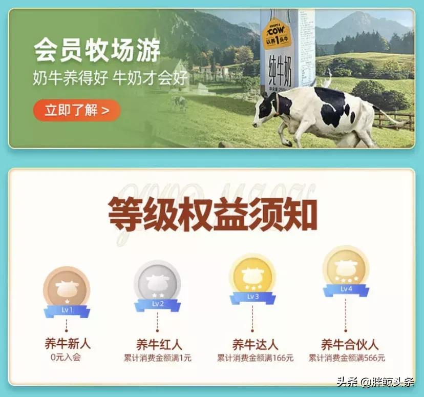 认养一头牛如何干翻蒙牛伊利,认养一头牛试喝奶粉