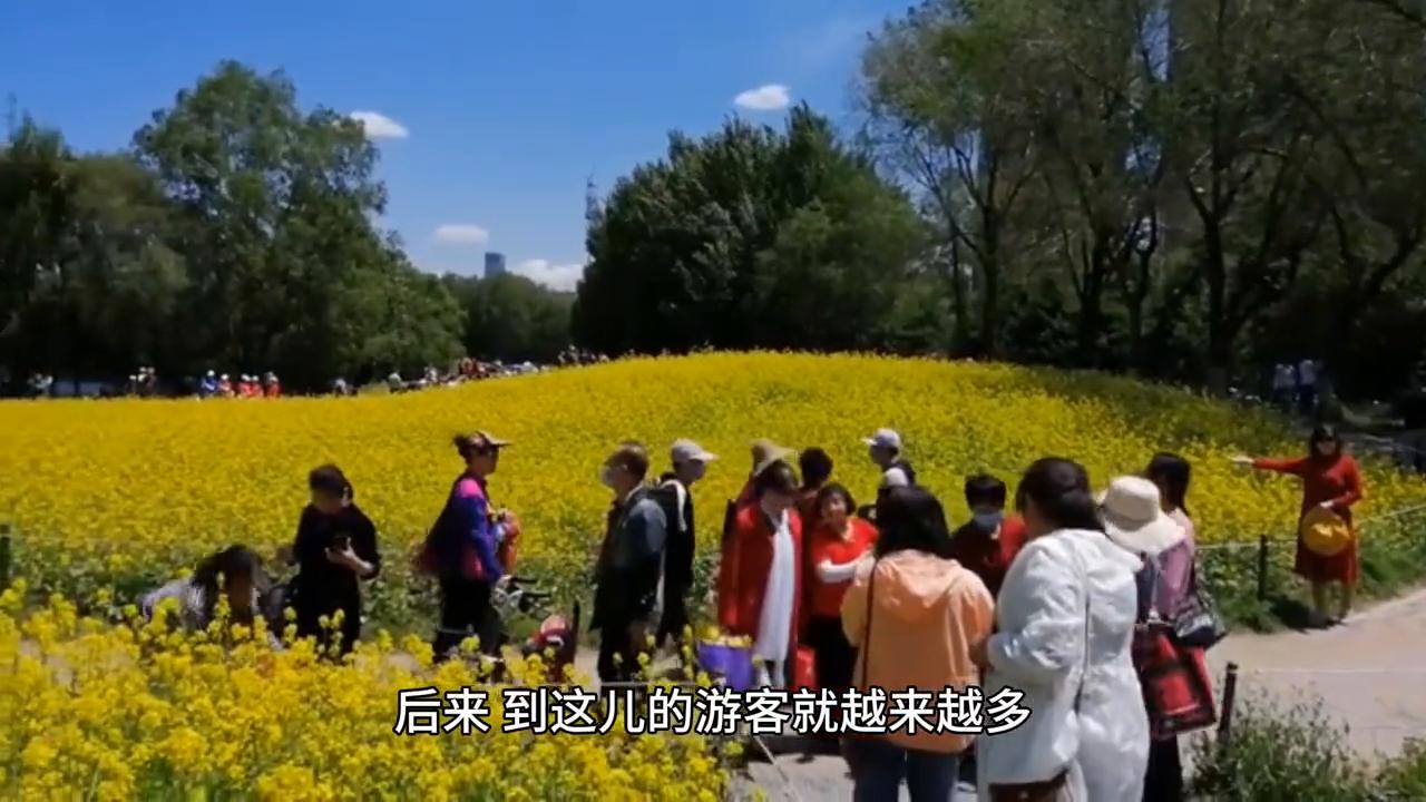 诚信是一颗珍贵的钻石,诚信是一枚凝重的砝码