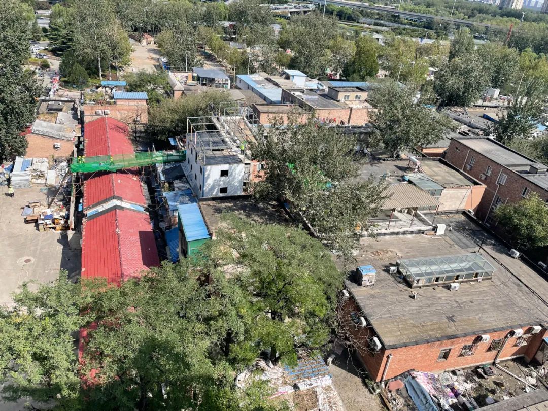 肖战默默守护的人是谁,是谁在默默守护你